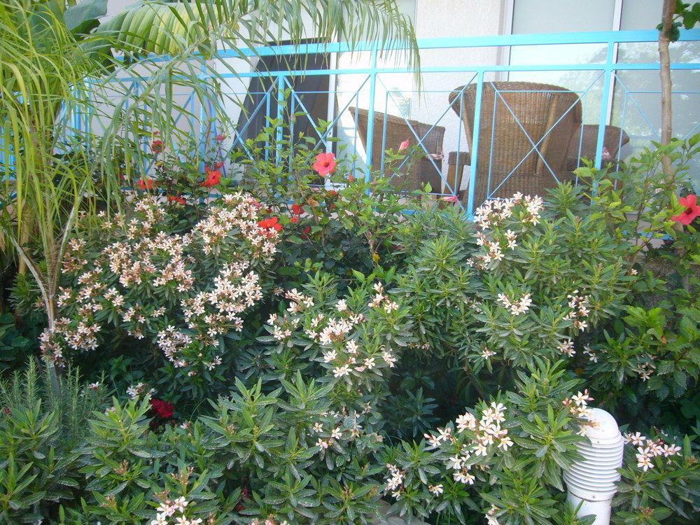 레메소스 Blue Oasis Gardens 아파트 외부 사진